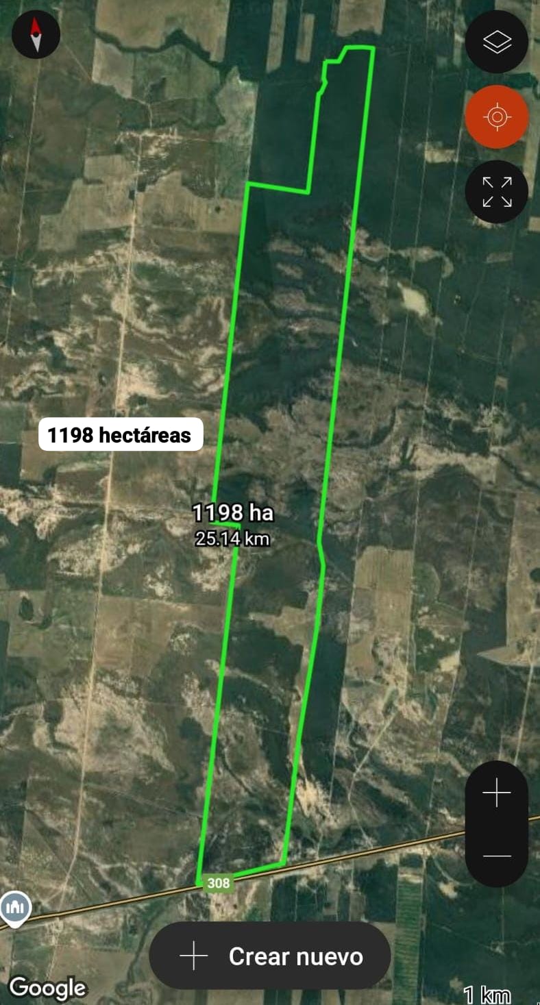 Campo en Juan Bautista Alberdi – 1.200 ha