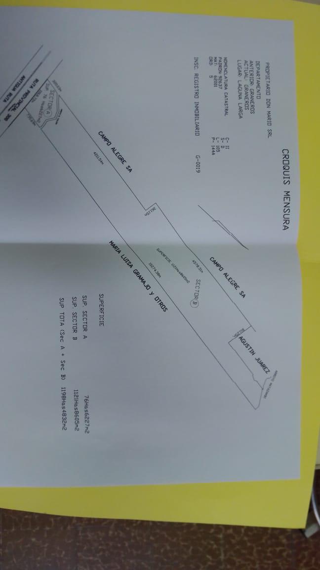 Campo en Juan Bautista Alberdi – 1.200 ha