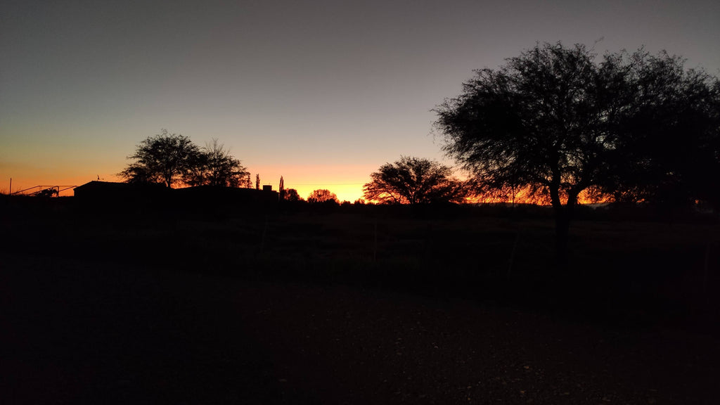 Campo de 3000 ha.