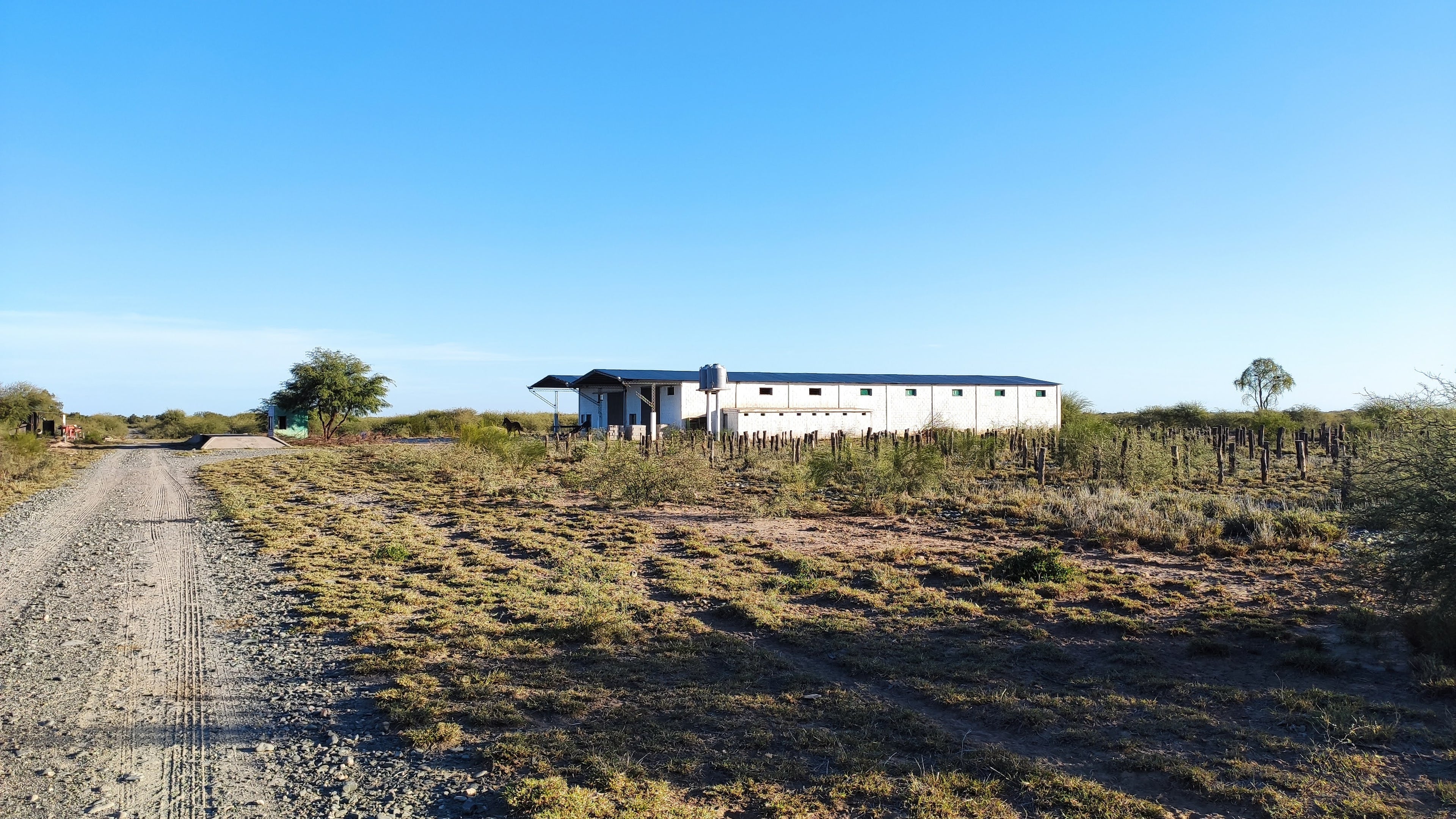 Campo de 3000 ha.