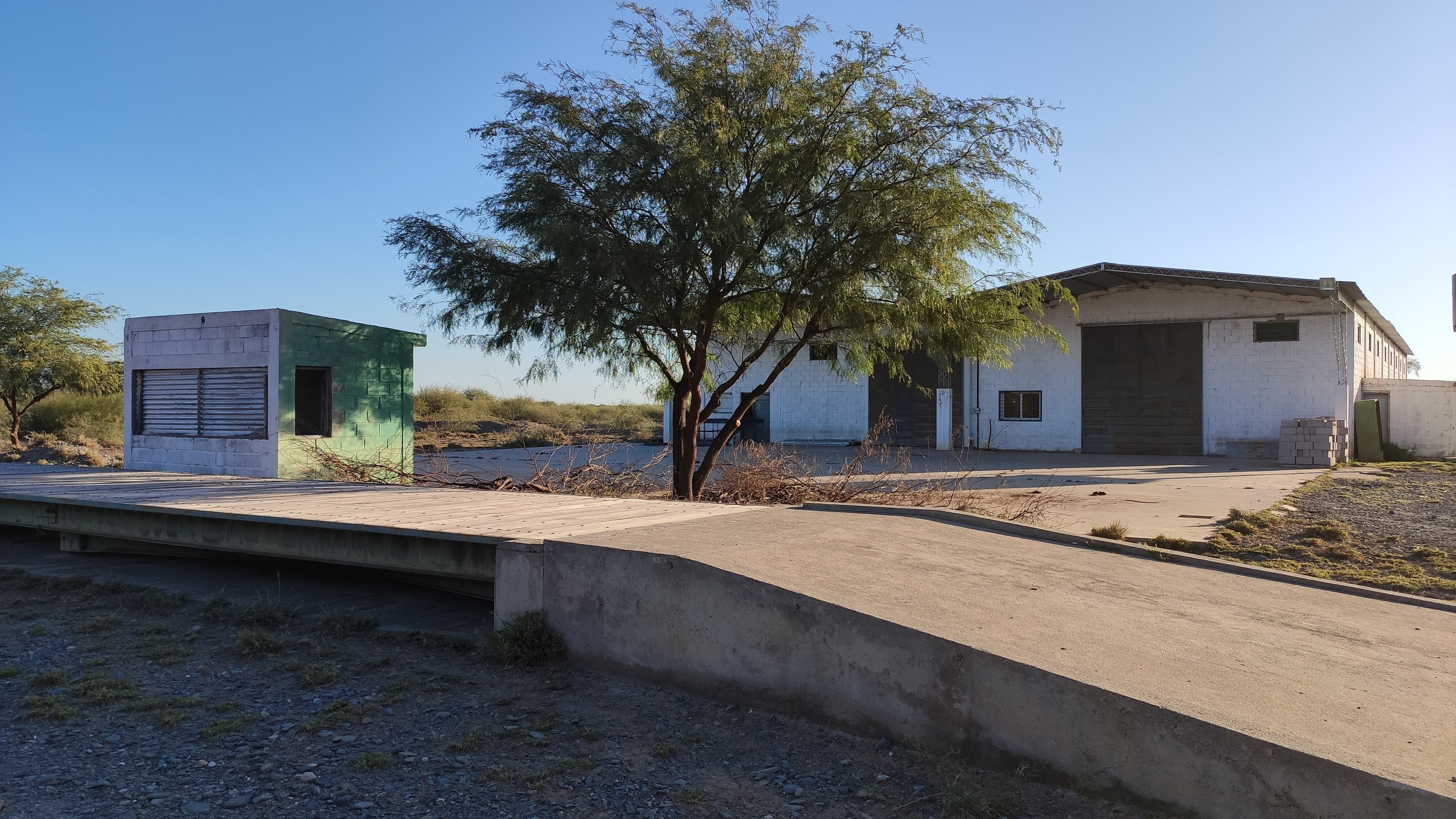 Campo de 3000 ha.