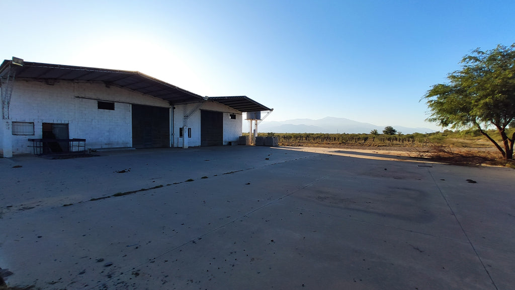 Campo de 3000 ha.