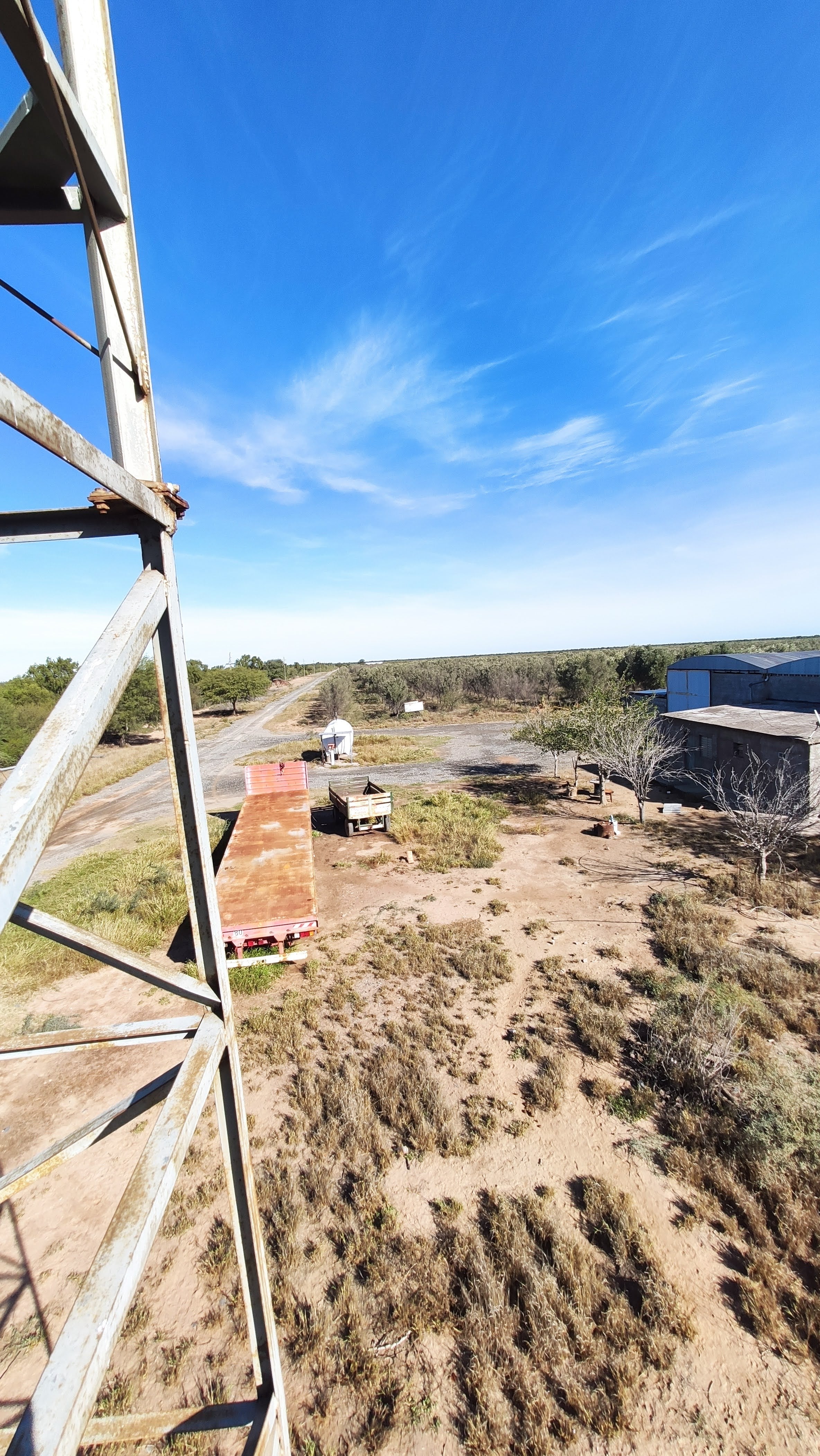 Campo de 3000 ha.