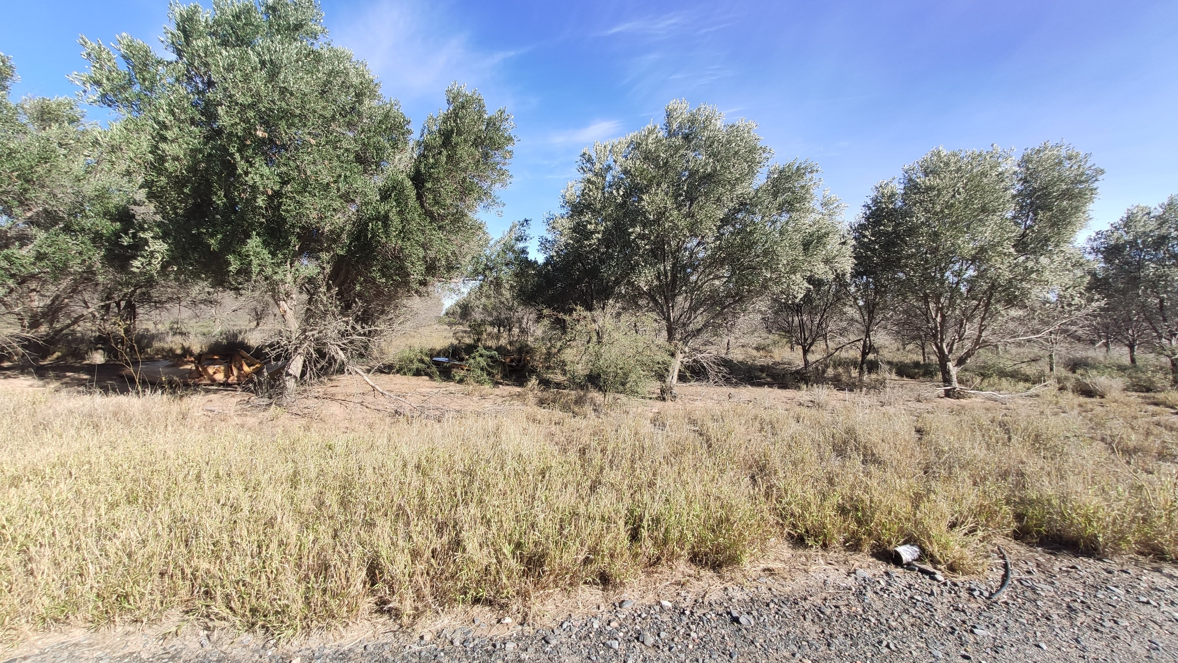 Campo de 3000 ha.