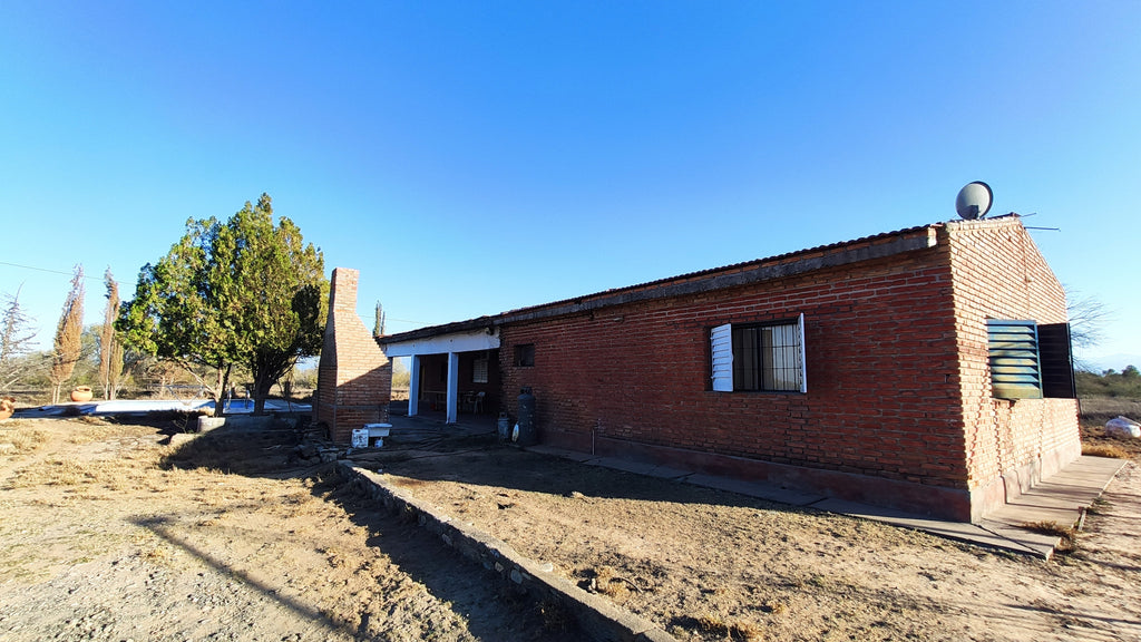Campo de 3000 ha.